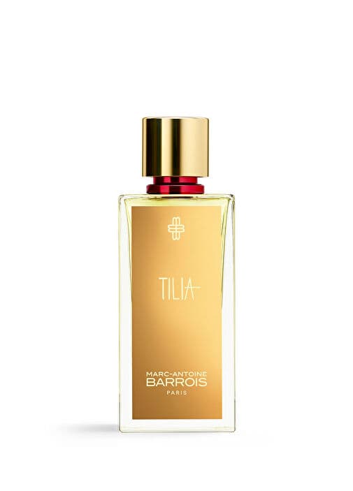 tilia