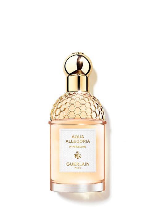 Aqua Allegoria Pamplelune